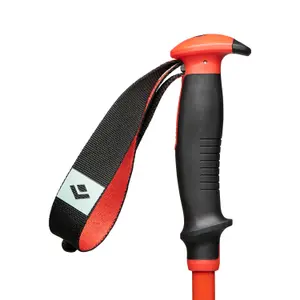 Bastões de esqui Black Diamond Traverse image-1