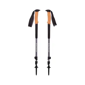 Trekking poles Black Diamond Cork (x2) image-0