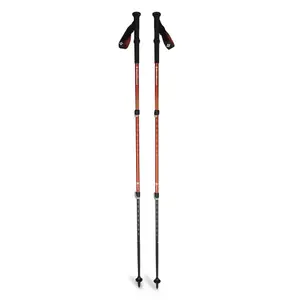 Kije trekkingowe Black Diamond Trail Back (x2) image-0
