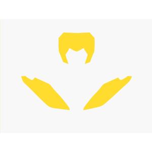 1095866001-baksidan-av-en-motorcykelplatta-blackbird-racing-fantic-xx-yel-tu