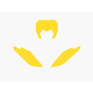 1095866001-motorrad-plattenunterlage-blackbird-racing-fantic-xx-yel-tu