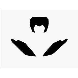 Fond de plaque de moto Blackbird Racing Fantic XX