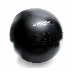 spor-a000095-gym-ball-blackroll-65-schwarz-65-cm