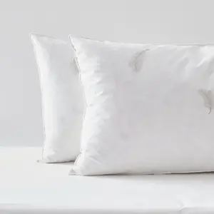 Lote de 2 almohadas de pluma real de gama natural Blanrêve Prestige image-2