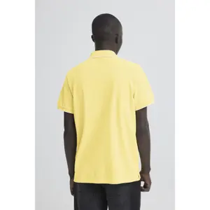 Polo Blend BHEdin Noos image-4
