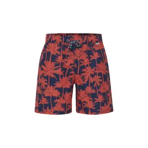 Badshorts Blend image-0