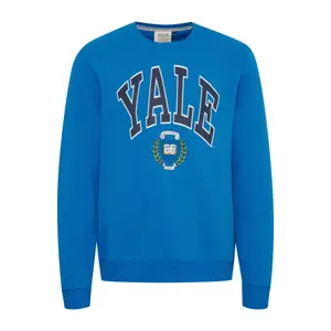 Sweatshirt Blend image-0