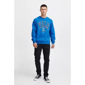Sweatshirt Blend image-1