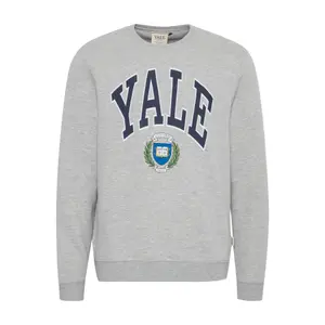Sweatshirt Blend image-0