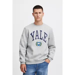 Sweatshirt Blend image-2