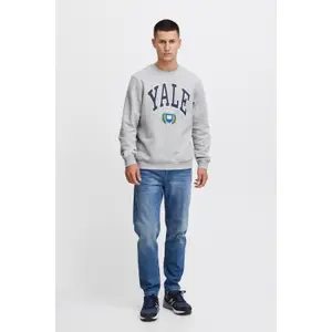 Sweatshirt Blend image-1