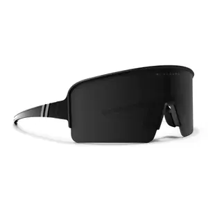 Sunglasses Blenders Eclipse X2