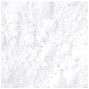 Pigment Blockx image-1