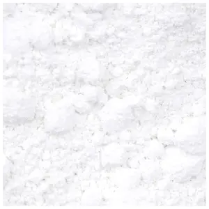 Pigment Blockx image-1