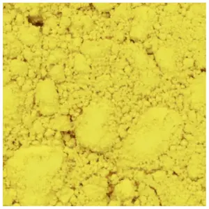Pigment Blockx image-1