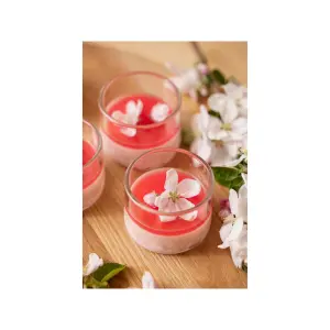 Dezertní sklenice Blomsterbergs Glass (x4) image-1