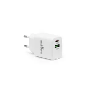 Carregador USB/2 portas/30W Bluestork