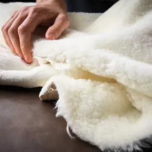 Einlegesohlen Blundstone Sheepskin Premium image-1