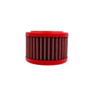 Luftfilter Motorrad BMC FM395/06 BMW image-2