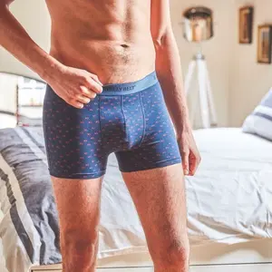Boxershorts aus Baumwolle Billybelt image-1