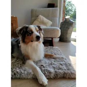 Colchão peludo para cães Bobby image-1
