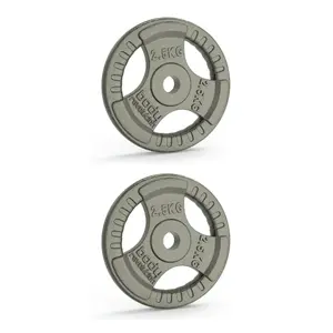 Disque de musculation en fonte Body Revolution 2,5kg (x2)