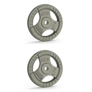 Disque de musculation en fonte Body Revolution 5kg (x2)