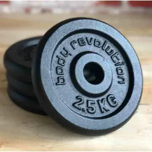 Cast iron discus Body Revolution 2,25kg (x2) image-1