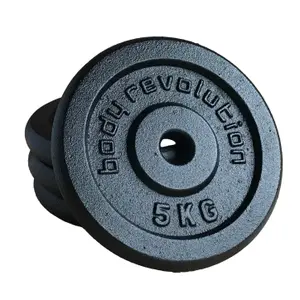 Cast iron discus Body Revolution 5kg (x2)