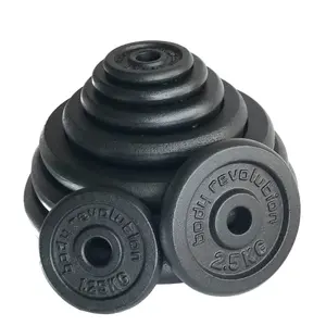Cast iron discus Body Revolution 10kg (x2)