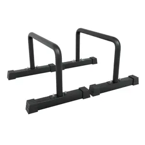 Barres parallettes Body Revolution