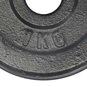 Skive til bodybuilding Bodytone image-2