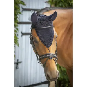 Horse Cap Paddock Sports Pro Coton Long Cs image-4