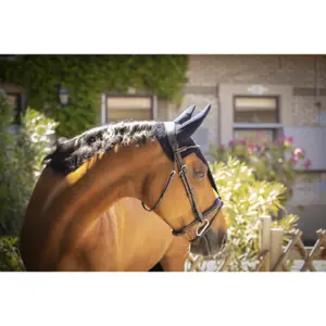 Horse Cap Paddock Sports Pro Coton Long Fs image-4