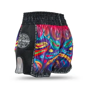 Thai boxing shorts Booster Fight Gear TBT Flow 1 image-3
