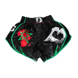 Kickboxing Shorts Booster Fight Gear image-0