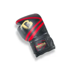 Thailändische Trainingsboxhandschuhe Booster Fight Gear Pro BGl V10 image-1