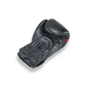 Thailändische Trainingsboxhandschuhe Booster Fight Gear Pro BGl V10 image-2