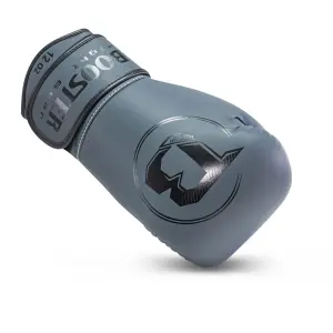 Thai boxing gloves Booster Fight Gear Pro BGL VX 2 image-0