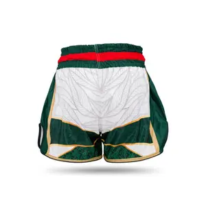 Boxershorts Booster Fight Gear TBT Country AL image-1