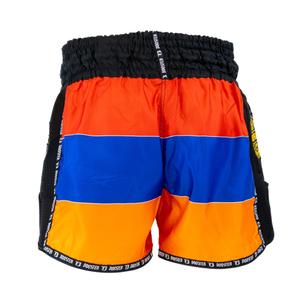 Boxningsshorts Booster Fight Gear TBT Country Armenia image-1