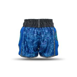 Thai boxing shorts Booster Fight Gear TBT Medusa image-1