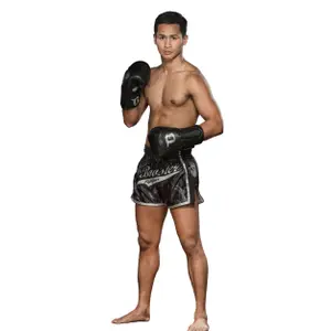 Boxing gloves Booster Fight Gear Bgl 1 V8 image-1