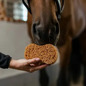 Esponja de lavado de equitación de lujo forma ergonómica Borstiq image-2