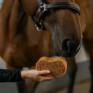 Esponja de lavado de equitación de lujo forma ergonómica Borstiq image-3