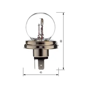 Motorlamp Bosma R2 P45t