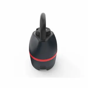 Kettlebell Bowflex SelectTech 840 image-2