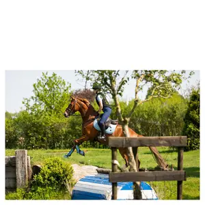 Σέλας για άλογο BR Equitation Katie General Purpose image-1