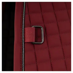 Χαλάκι CSO BR Equitation Eevolv image-2