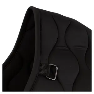 Jumping Saddle Pad BR Equitation Eevolv Louise GP image-2